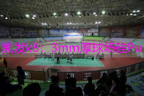 3mm厚球场硅Pu 3mm厚球场硅Pu