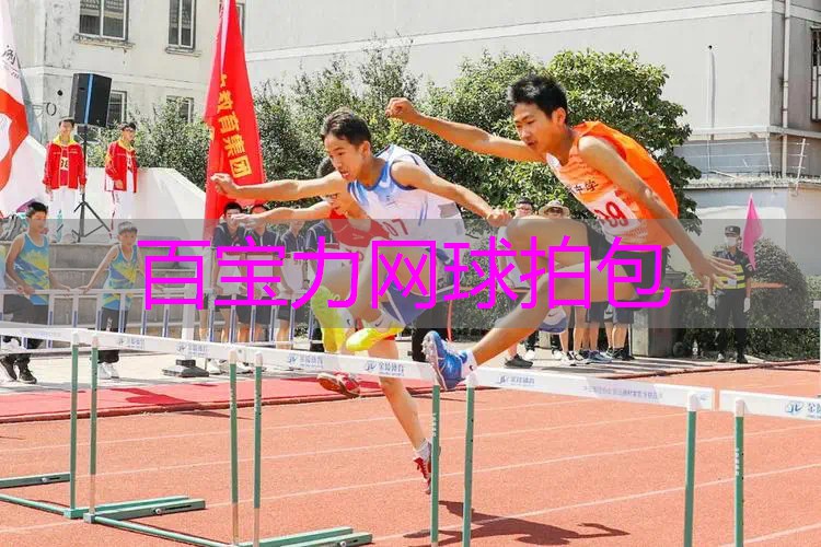 百宝力网球拍包