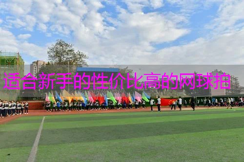 适合新手的性价比高的网球拍