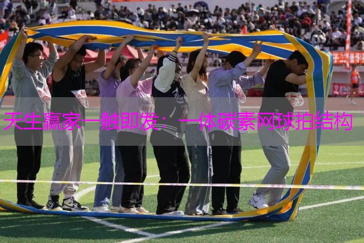 一体碳素网球拍结构