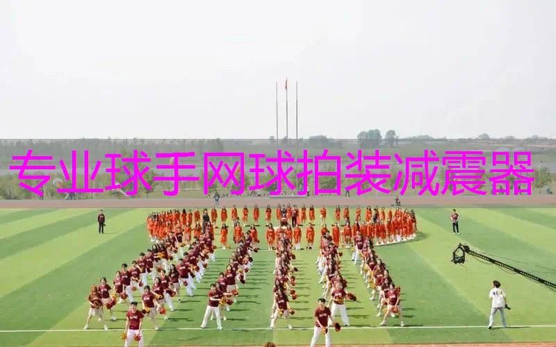 专业球手网球拍装减震器