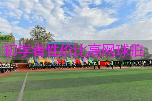 初学者性价比高网球拍