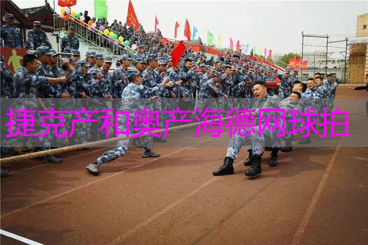 捷克产和奥产海德网球拍