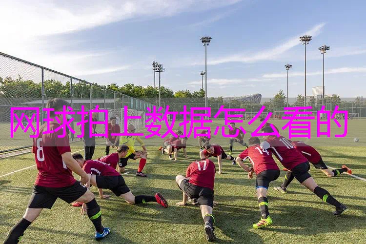 网球拍上数据怎么看的