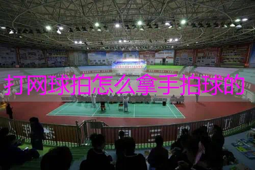 打网球拍怎么拿手拍球的