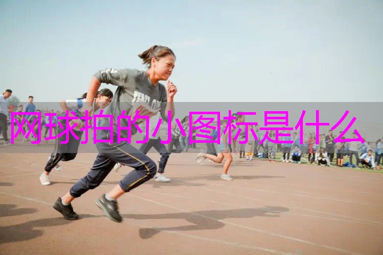 网球拍的小图标是什么