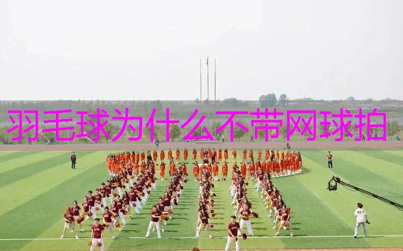 羽毛球为什么不带网球拍