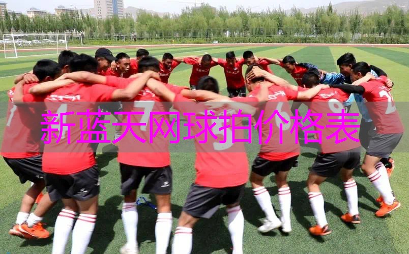 新蓝天网球拍价格表