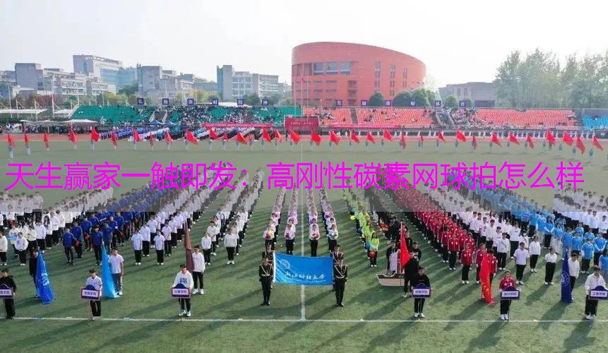 高刚性碳素网球拍怎么样