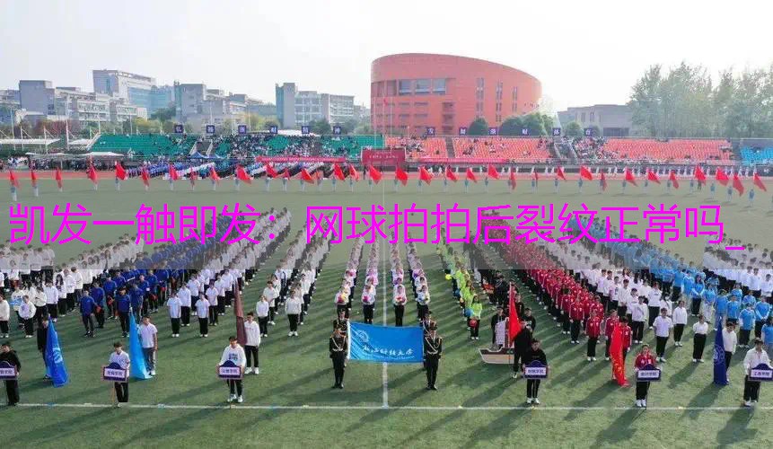 网球拍拍后裂纹正常吗_