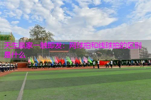 网球拍和线球拍的区别是什么