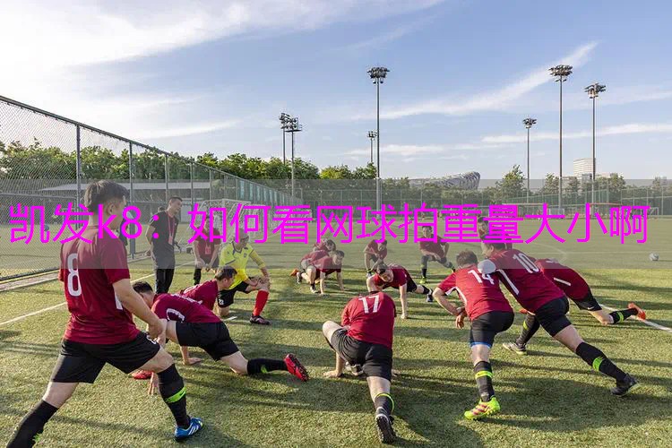 如何看网球拍重量大小啊