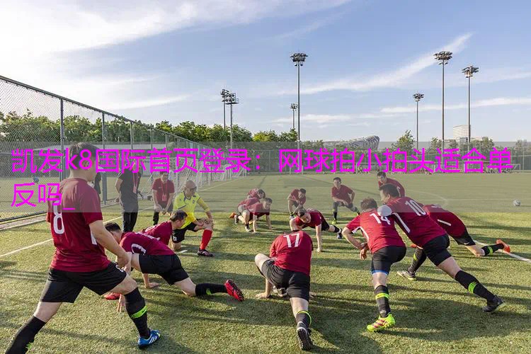 网球拍小拍头适合单反吗_
