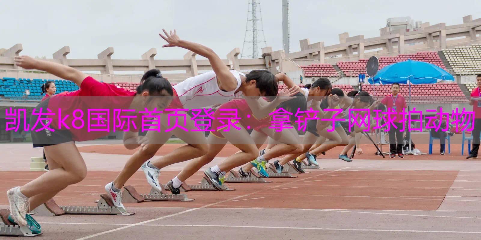 拿铲子网球拍动物