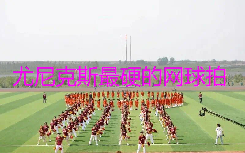 尤尼克斯最硬的网球拍