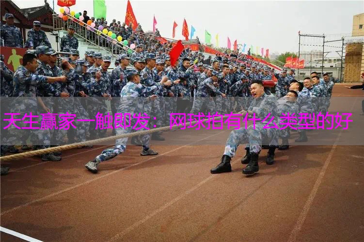 网球拍有什么类型的好