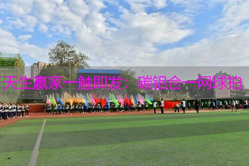 碳铝合一网球拍